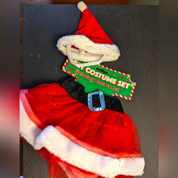 NWT Christmas Tutu and Santa Hat - Picture 1 of 4